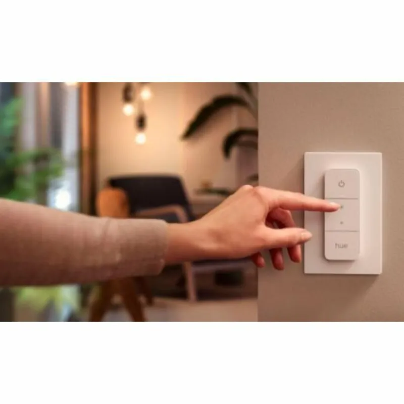 Luminaires Philips Variateur Philips Hue Blanc