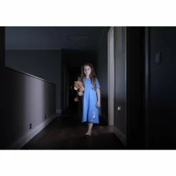 Luminaires Ledvance veilleuse LEDVANCE NIGHTLUX® Blanc, 1 lumière, Détecteur de mouvement* Éclairage Led