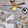 hofstein Ventilateur de plafond Apiao Brun, Couleur bois, Argenté, 1 lumière