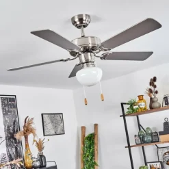 hofstein Ventilateur de plafond Apiao Brun, Couleur bois, Argenté, 1 lumière