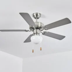 hofstein Ventilateur de plafond Apiao Brun, Couleur bois, Argenté, 1 lumière