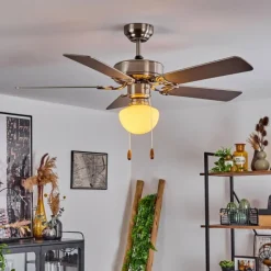 hofstein Ventilateur de plafond Apiao Brun, Couleur bois, Argenté, 1 lumière