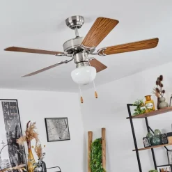 hofstein Ventilateur de plafond Apiao Brun, Couleur bois, Argenté, 1 lumière