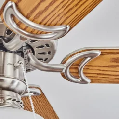 hofstein Ventilateur de plafond Apiao Brun, Couleur bois, Argenté, 1 lumière