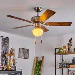 hofstein Ventilateur de plafond Apiao Brun, Couleur bois, Argenté, 1 lumière