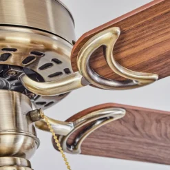 hofstein Ventilateur de plafond Apiao Brun, Brun clair, Couleur bois, Argenté, 1 lumière