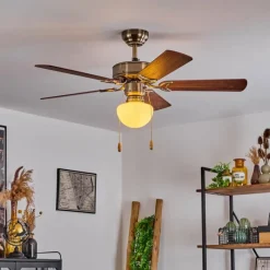 hofstein Ventilateur de plafond Apiao Brun, Brun clair, Couleur bois, Argenté, 1 lumière