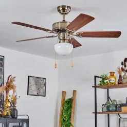 hofstein Ventilateur de plafond Apiao Brun, Brun clair, Couleur bois, Argenté, 1 lumière