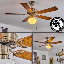 hofstein Ventilateur de plafond Apiao Brun, Brun clair, Couleur bois, Argenté, 1 lumière