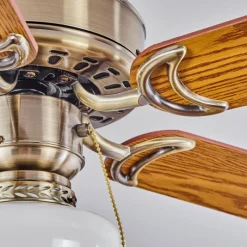 hofstein Ventilateur de plafond Apiao Brun, Brun clair, Couleur bois, Argenté, 1 lumière