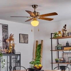 hofstein Ventilateur de plafond Apiao Brun, Brun clair, Couleur bois, Argenté, 1 lumière