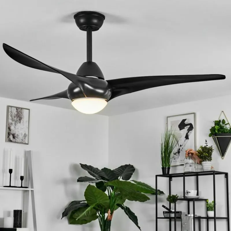 hofstein Ventilateur de plafond Malloa LED Noir, 1 lumière, Télécommandes