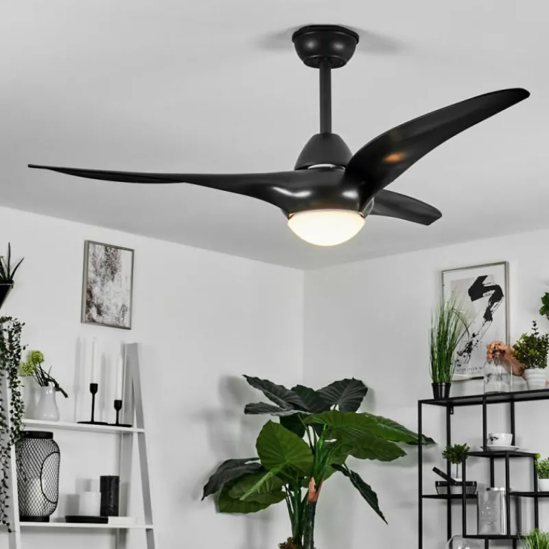 hofstein Ventilateur de plafond Malloa LED Noir, 1 lumière, Télécommandes