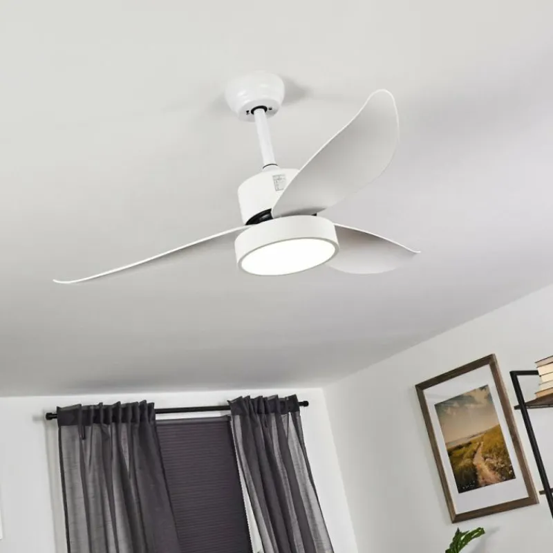 hofstein Ventilateur de plafond Doha LED Blanc, 1 lumière, Télécommandes