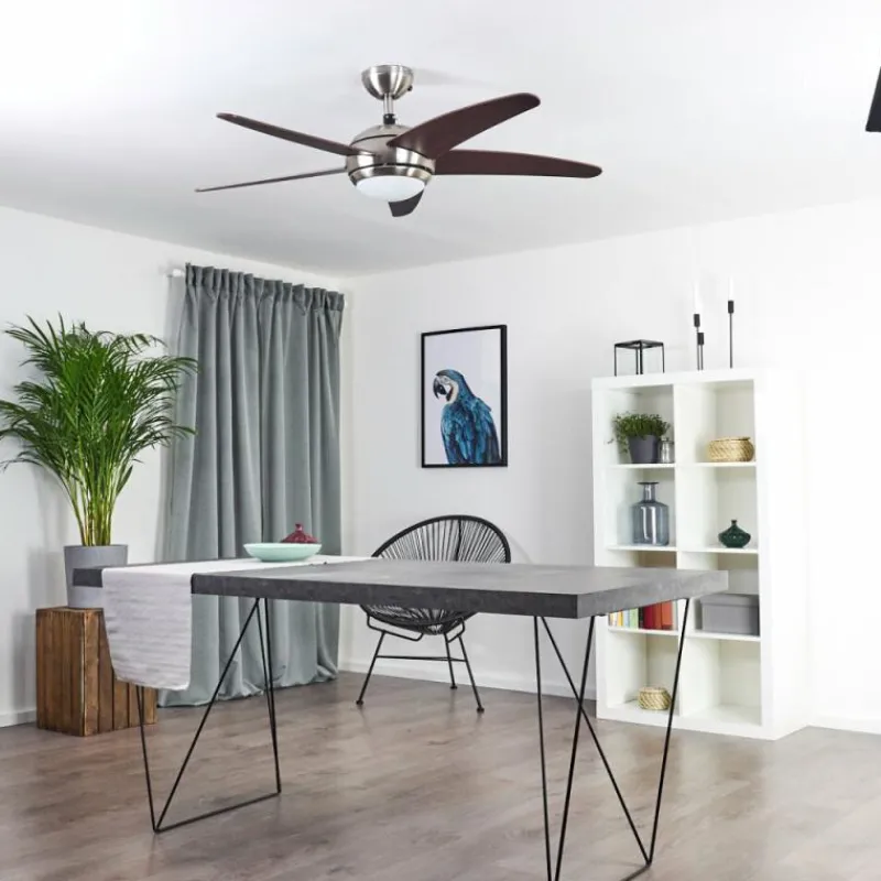 hofstein Ventilateur de plafond Imon Bois foncé, Nickel mat, 1 lumière, Télécommandes