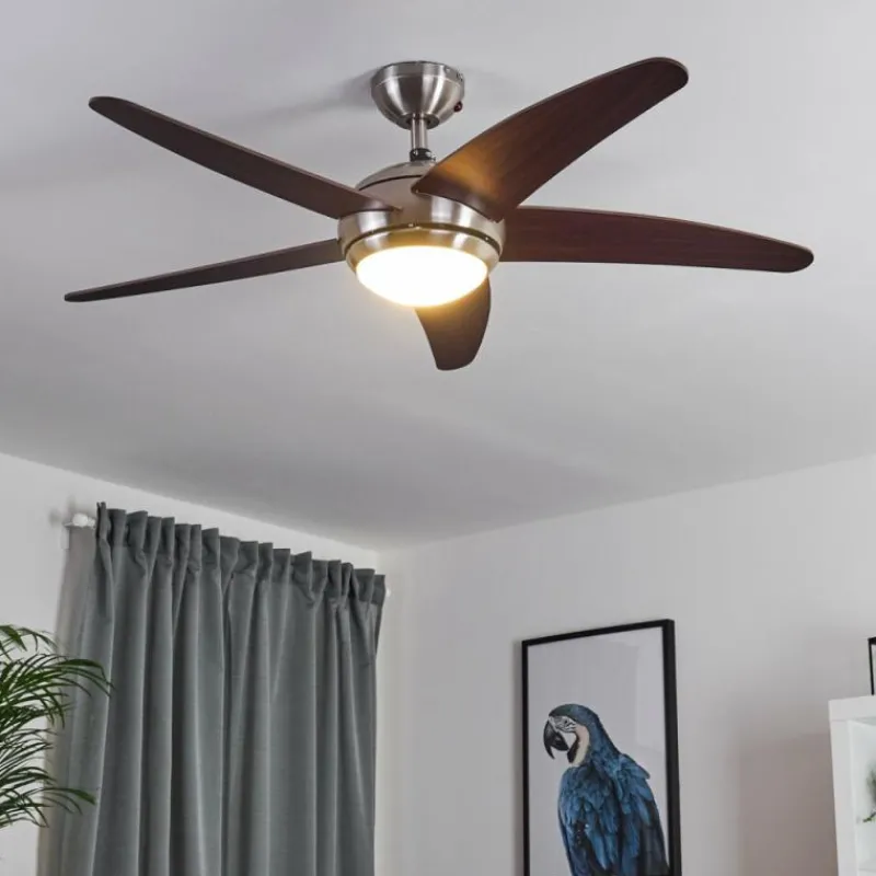 hofstein Ventilateur de plafond Imon Bois foncé, Nickel mat, 1 lumière, Télécommandes