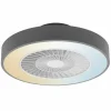 Luminaires Ledvance Ventilateur de plafond LEDVANCE Smart Gris, 1 lumière, Télécommandes
