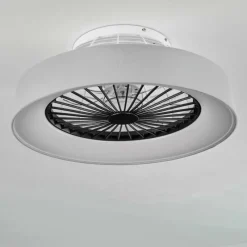 hofstein Ventilateur de plafond Moli LED Gris, Blanc, 1 lumière, Télécommandes