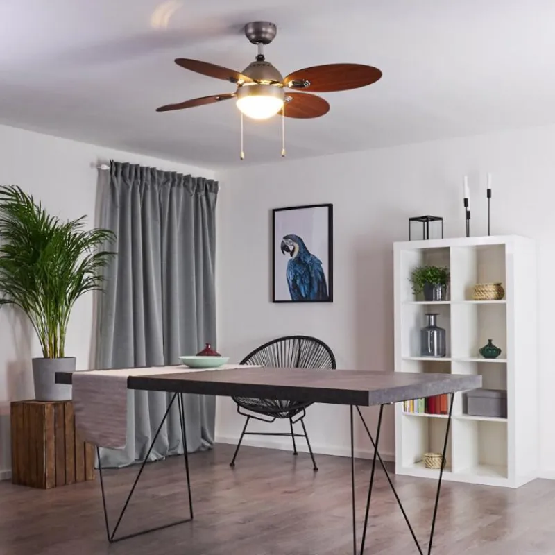 hofstein Ventilateur de plafond Nicosia Bois foncé, Nickel mat, 1 lumière