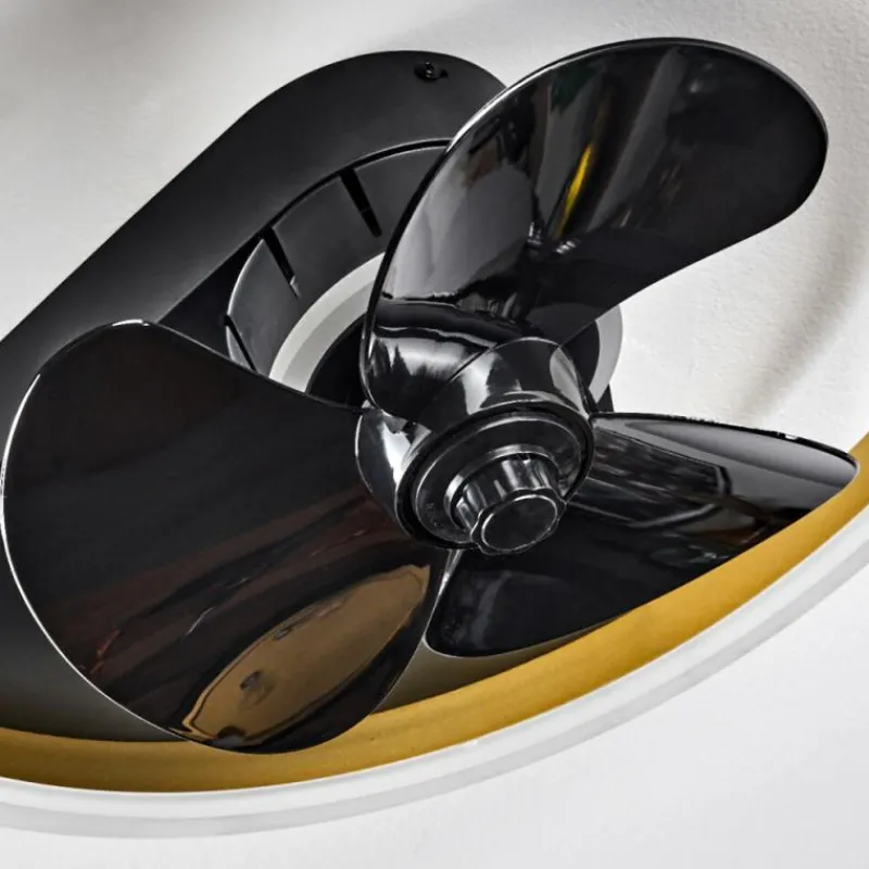 hofstein Ventilateur de plafond Oleiro LED Or, Noir, Blanc, 1 lumière, Télécommandes