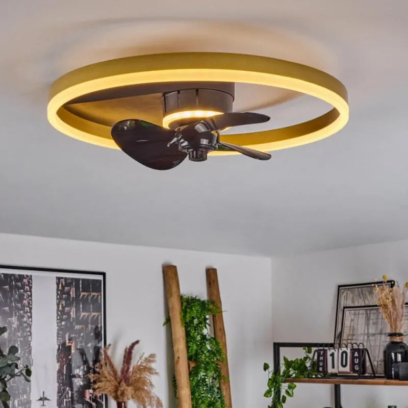hofstein Ventilateur de plafond Oleiro LED Or, Noir, Blanc, 1 lumière, Télécommandes