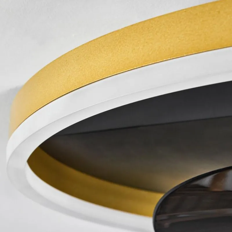 hofstein Ventilateur de plafond Oleiro LED Or, Noir, Blanc, 1 lumière, Télécommandes