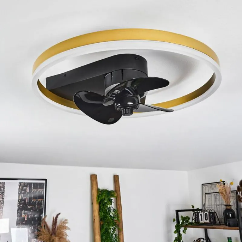 hofstein Ventilateur de plafond Oleiro LED Or, Noir, Blanc, 1 lumière, Télécommandes