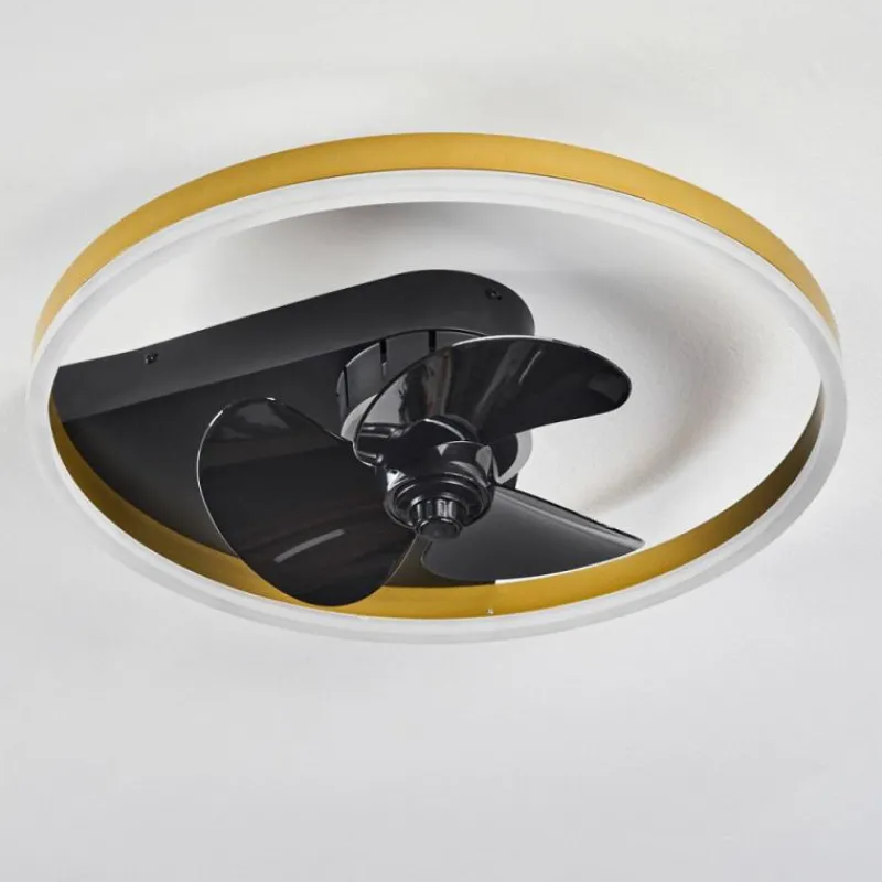 hofstein Ventilateur de plafond Oleiro LED Or, Noir, Blanc, 1 lumière, Télécommandes