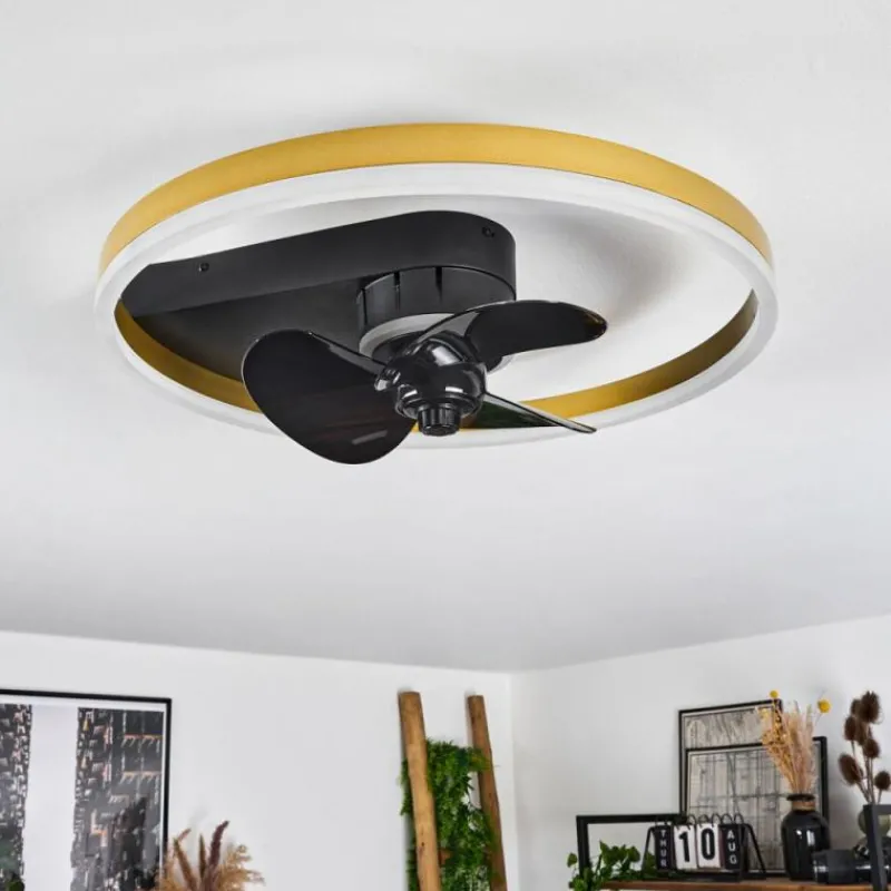 hofstein Ventilateur de plafond Oleiro LED Or, Noir, Blanc, 1 lumière, Télécommandes