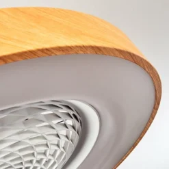 hofstein Ventilateur de plafond Penon LED Blanc, 1 lumière, Télécommandes