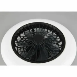 Luminaires Reality Ventilateur de plafond Reality Stralsund LED Noir, 1 lumière, Télécommandes