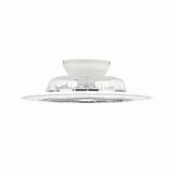 Luminaires Reality Ventilateur de plafond Reality Flaga LED Blanc, 1 lumière, Télécommandes