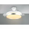Luminaires Reality Ventilateur de plafond Reality LINDBERG LED Titane, 1 lumière, Télécommandes