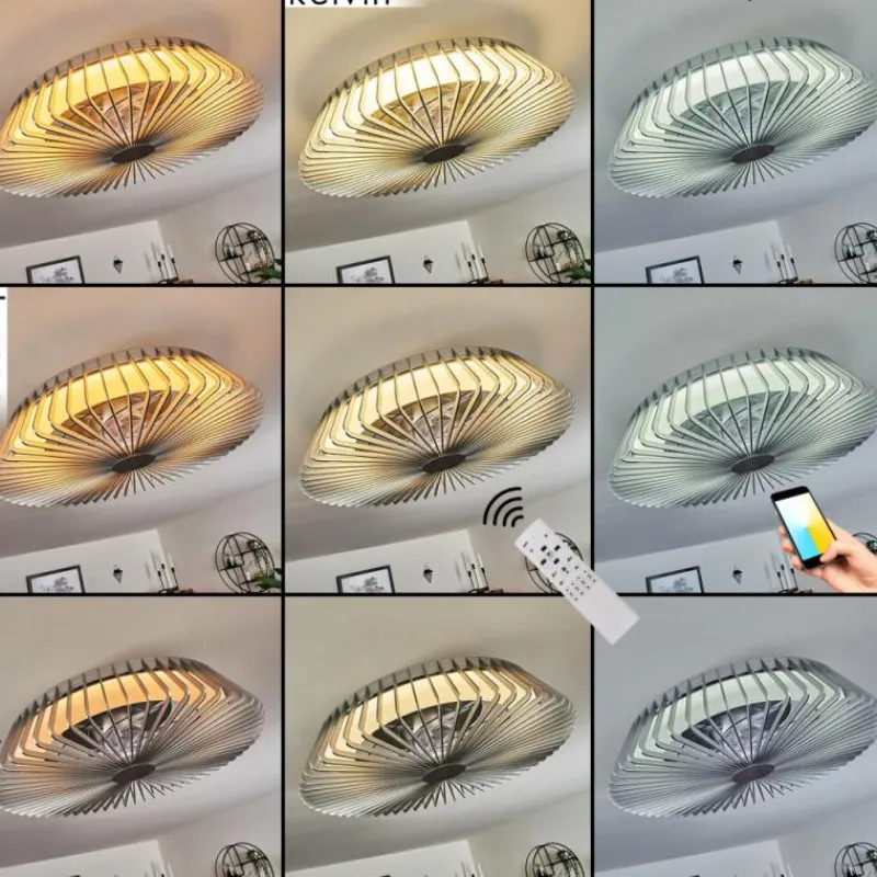 hofstein Ventilateur de plafond Rivarotta LED Blanc, 1 lumière, Télécommandes