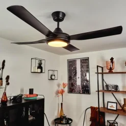 hofstein Ventilateur de plafond Tjerne LED Noir, 1 lumière