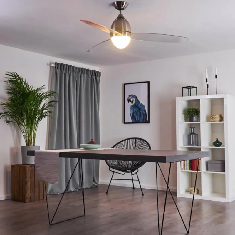 hofstein Ventilateur de plafond Varazze Nickel mat, Transparent, 1 lumière, Télécommandes