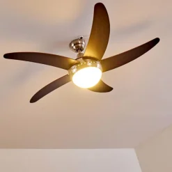 hofstein Ventilateurs de Plafond Morino Brun, Nickel mat, 2 lumières, Télécommandes