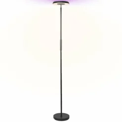 Luminaires Ledvance Wifi Lampadaire LED Noir, 1 lumière, Changeur de couleurs