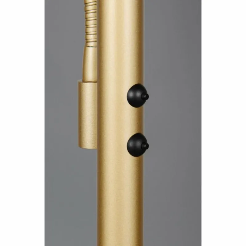 Lampes Dorées-Luminaires Trio Willis Lampadaire LED Or, 2 lumières