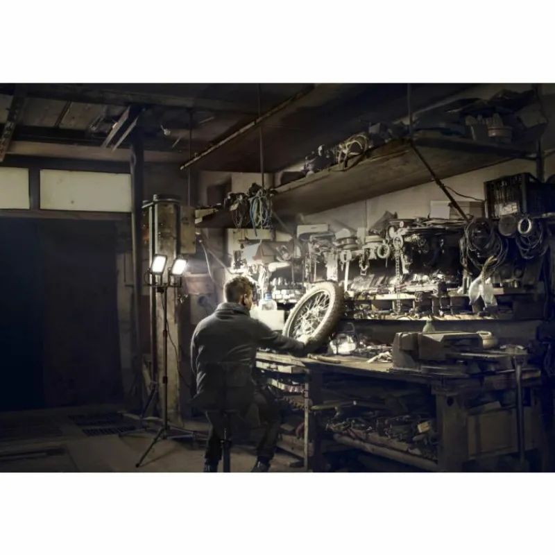 Luminaires Ledvance Worklight Projecteur LED Gris, Noir, 1 lumière